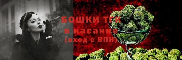 шишки Алексеевка