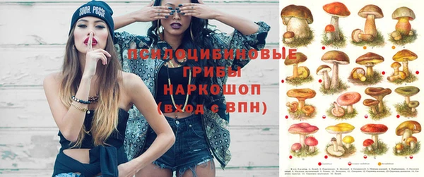 кокс Алзамай
