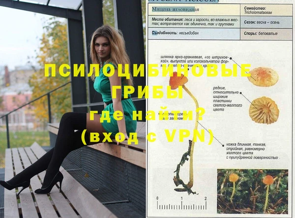 mix Абаза