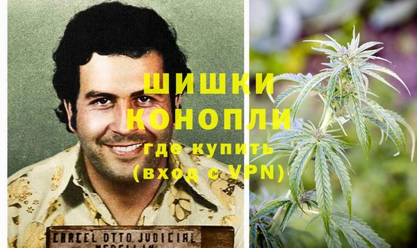 ПСИЛОЦИБИНОВЫЕ ГРИБЫ Вуктыл