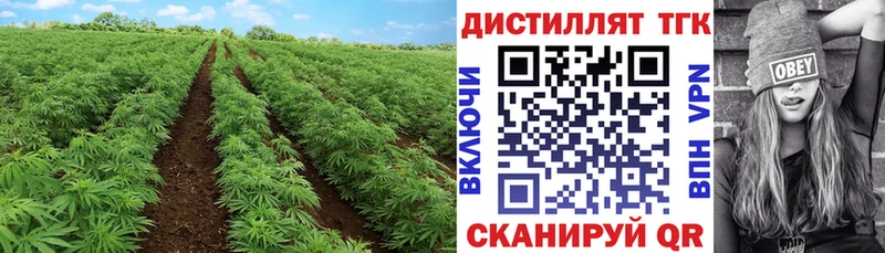 Дистиллят ТГК гашишное масло  цена   Арск 