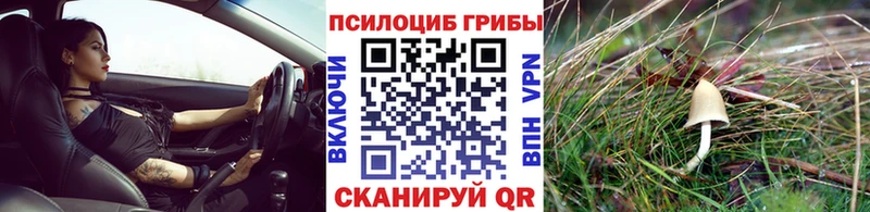 нарко площадка клад  Арск  Галлюциногенные грибы мицелий 